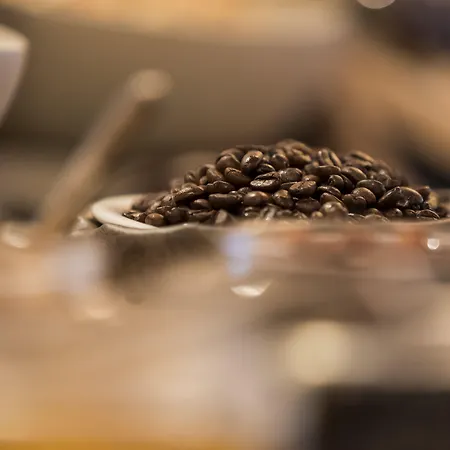 La Rotonde فيربير