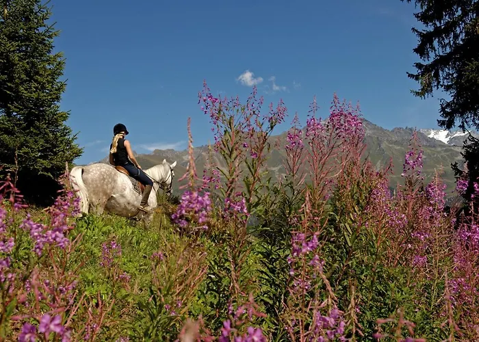 Värdshus La Rotonde 3*